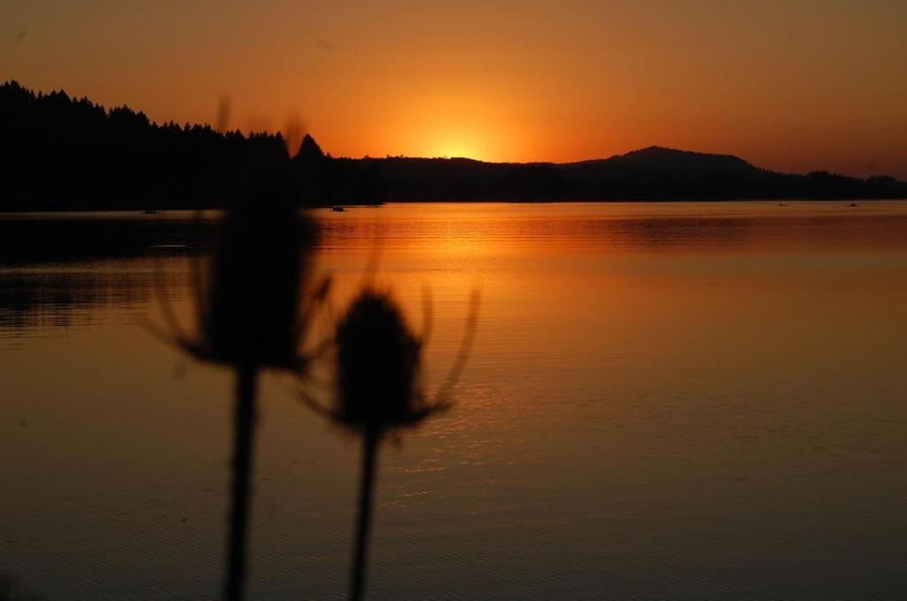 Romantic Mountain Home Odell Lake Esterno foto